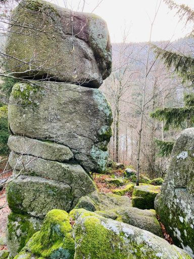 LivingRoom - erLEBENsRaum Naturcoaching