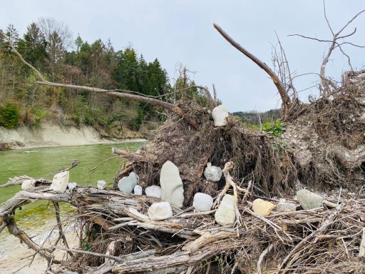 LivingRoom - erLEBENsRaum Naturcoaching
